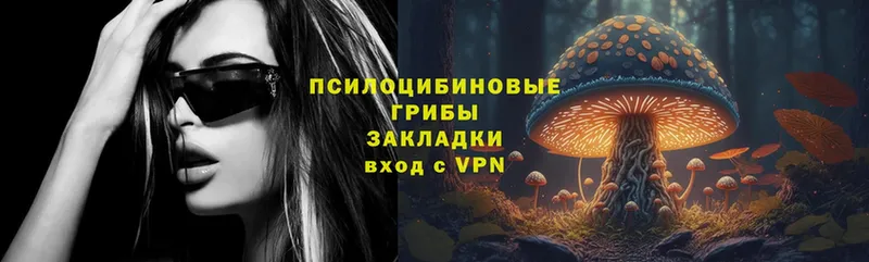 Галлюциногенные грибы MAGIC MUSHROOMS  наркошоп  Гаврилов-Ям 